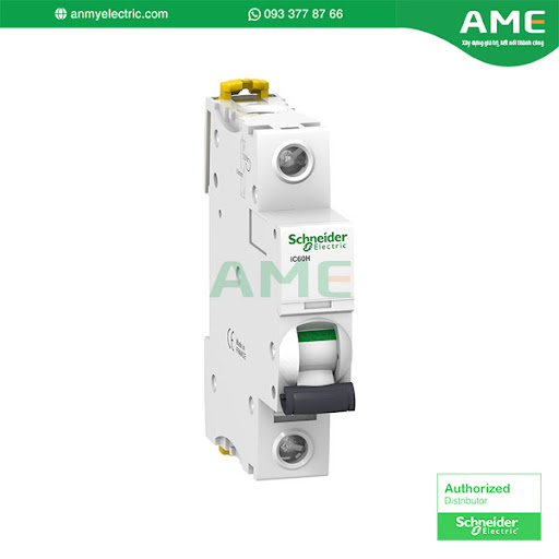 Cầu dao tự động A9F84116 chính hãng Schneider