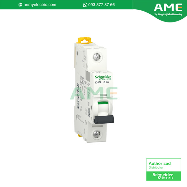 Cầu dao tự dộng A9F94106 chính hãng Schneider 