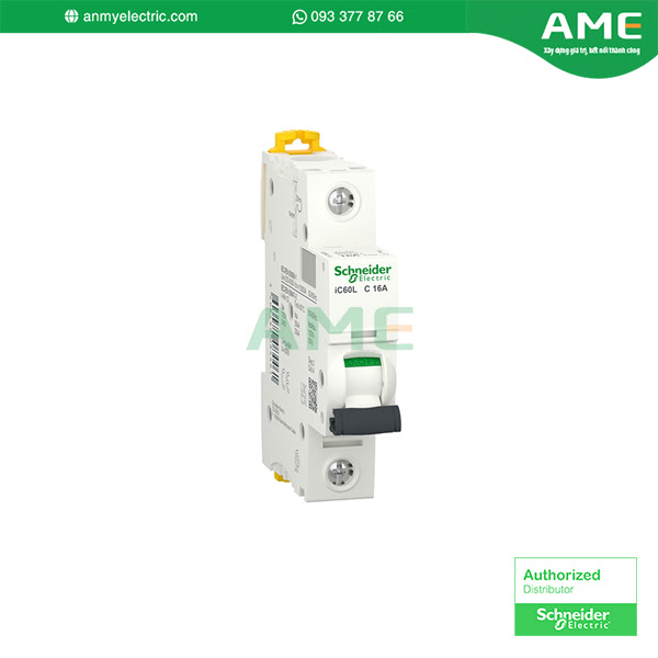 Cầu dao tự dộng A9F94116 chính hãng Schneider 