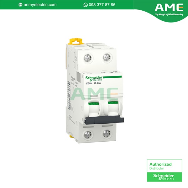 Aptomat tự động A9K24240 chính hãng Schneider