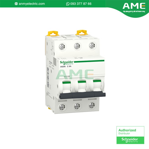 Aptomat tự động A9K24306 chính hãng Schneider