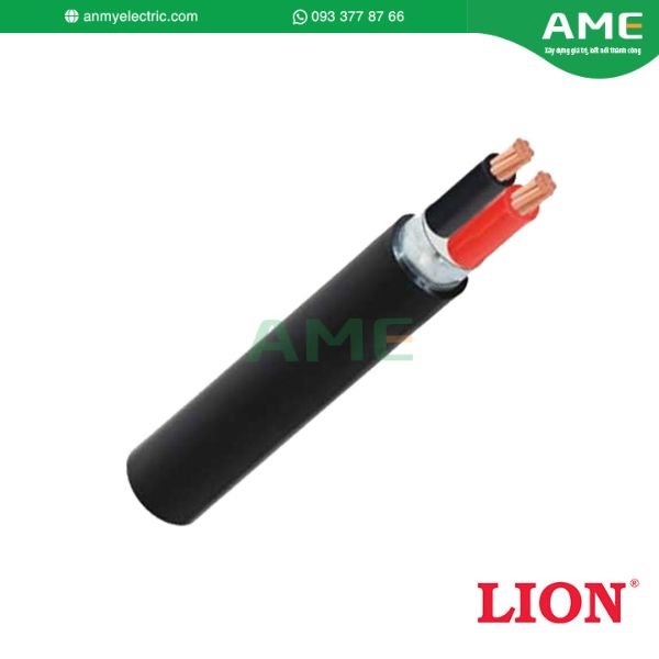Cáp điện lực hạ thế CVV/DSTA 2 lõi 0.6/1kV