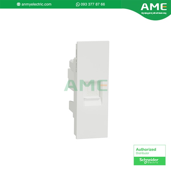 Ổ cắm mạng cat6, size S