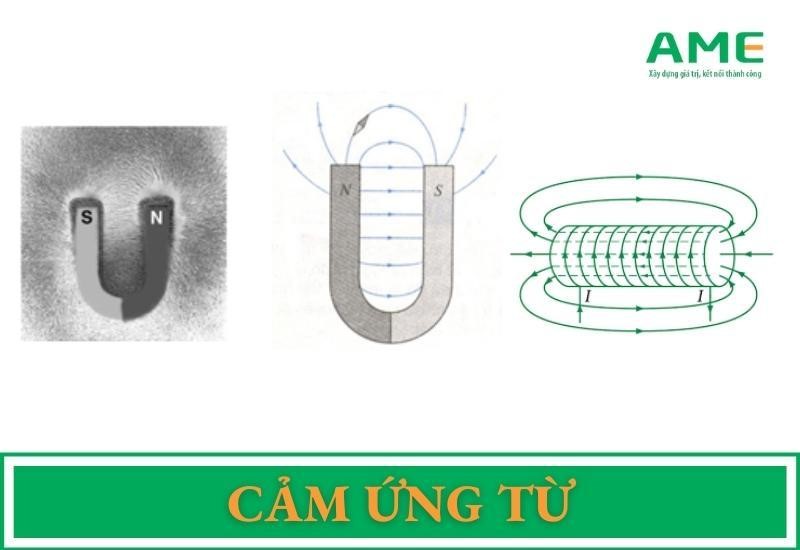 cảm ứng từ