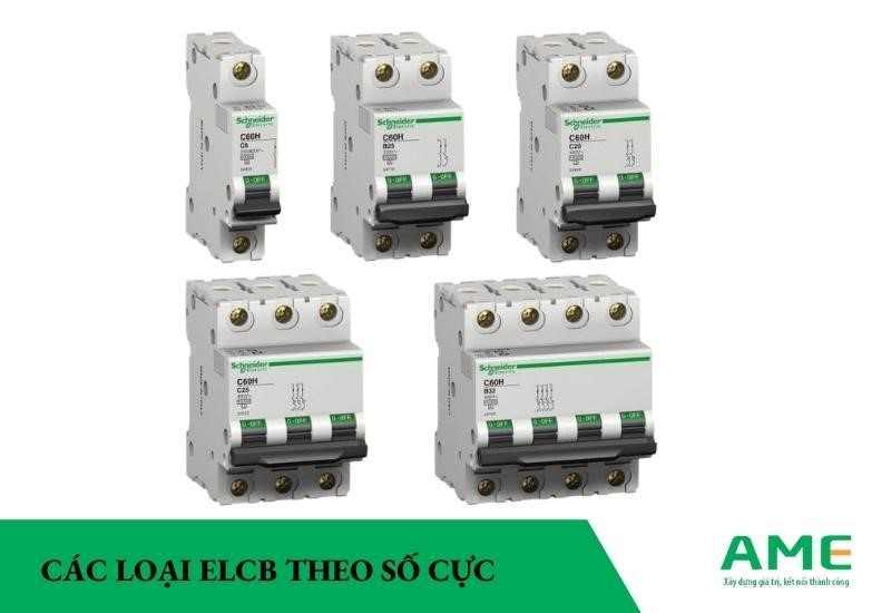 các loại elcb theo số cực
