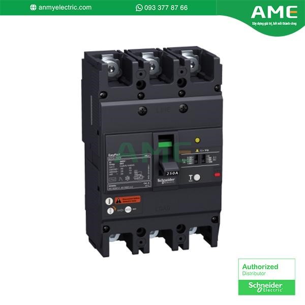 Cầu dao chống rò EZCV250N3100 chính hãng Schneider
