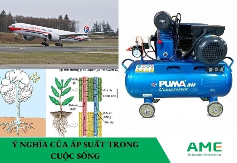 Ý nghĩa của áp suất trong cuộc sống