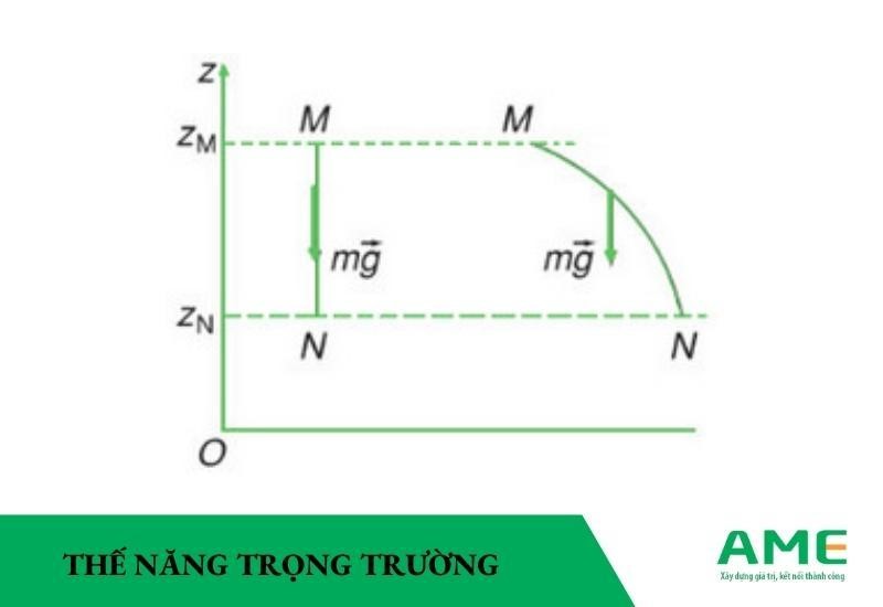 thế năng trọng trường