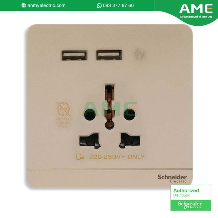 Bộ ổ cắm đa năng E8342616USB_WG_G19 chính hãng Schneider