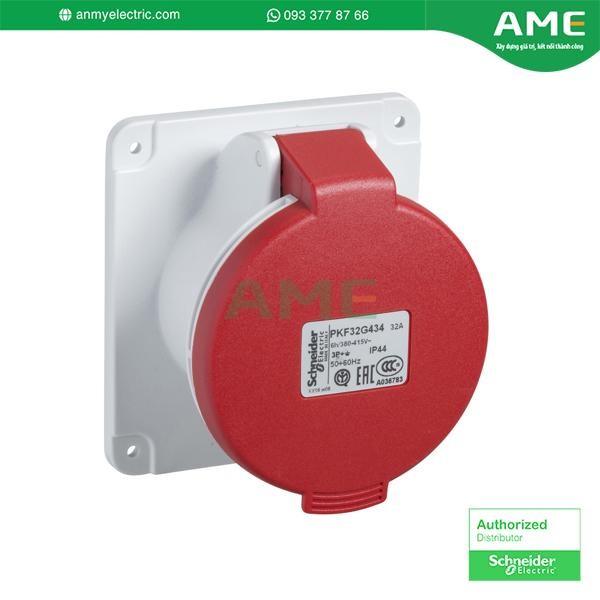 Ổ cắm âm dạng thẳng PKF16G435 chính hãng Schneider