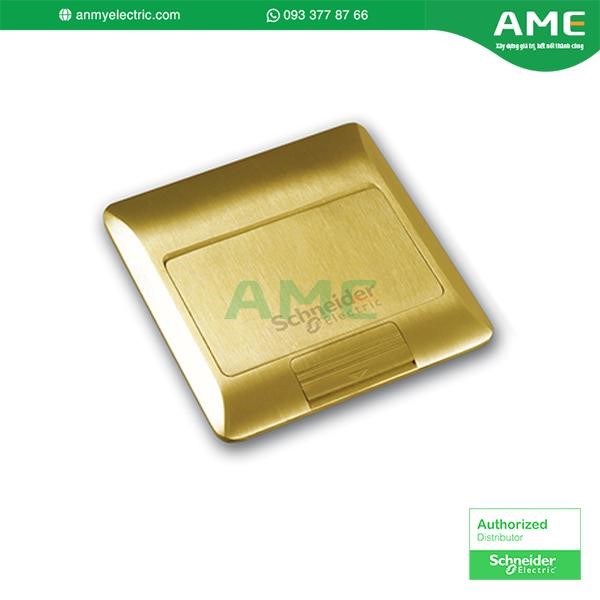 E224F_BAS, S-Flexi - Ổ cắm âm sàn có hộp, đồng thau Ổ điện âm sàn E224F_BAS có tính năng tiện lợi, thiết kế nhỏ gọn, đảm bảo an toàn khi sử dụng