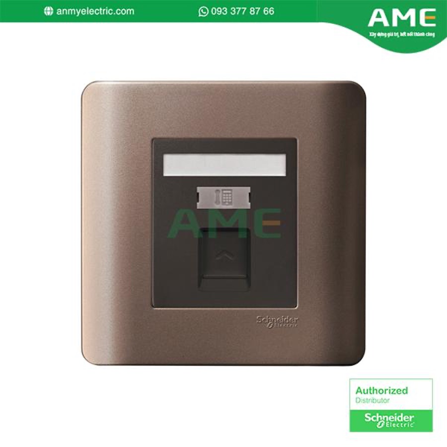 Bộ ổ cắm điện thoại E8431RJS4_SZ_G19