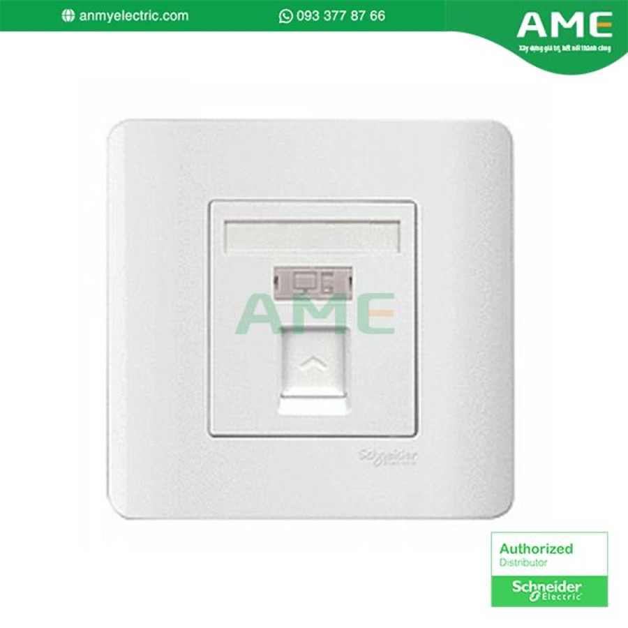 Ổ cắm mạng E8431RJS_6_G19 chính hãng Schneider