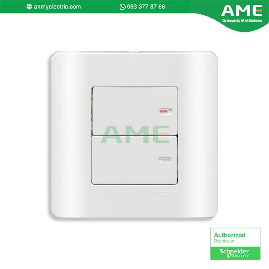 Bộ công tắc đôi 1 chiều 16A E8432_1_G19 chính hãng Schneider