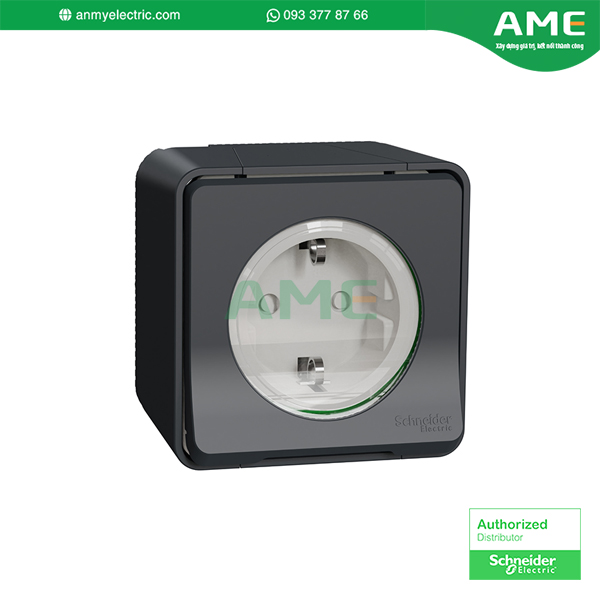 Ổ cắm MUR36034 chính hãng Schneider