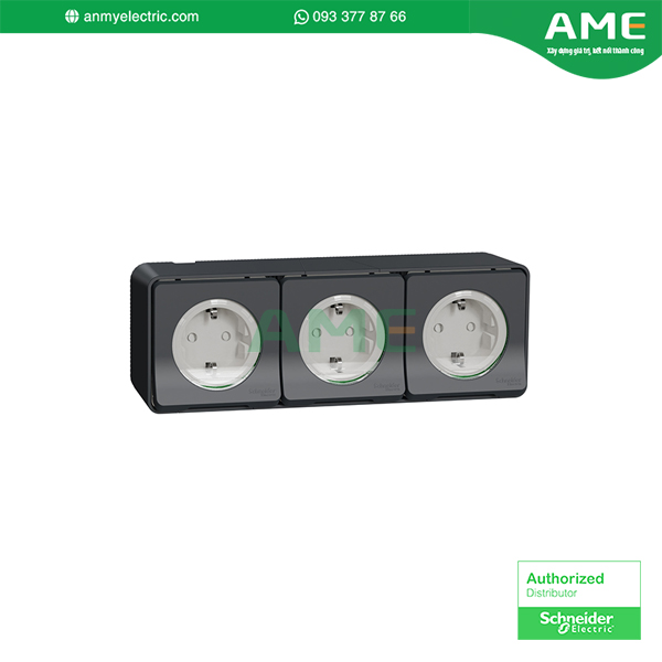 Ổ cắm MUR36038 chính hãng Schneider