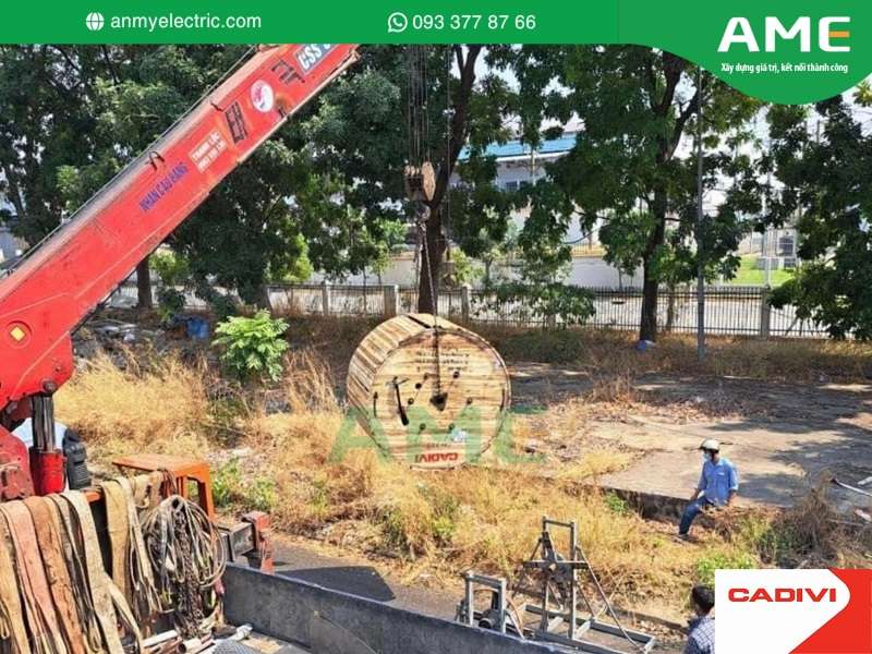 AME Group - Nhập hàng CADIVI số lượng lớn phục vụ người mua hàng