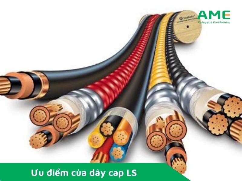 Sức chịu đựng cao